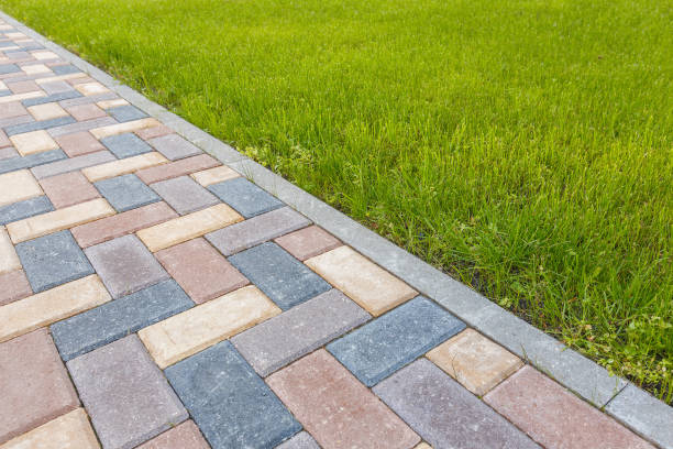 Best Driveway Paving Contractor  in Greeneville, TN